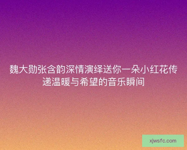 魏大勋张含韵深情演绎送你一朵小红花传递温暖与希望的音乐瞬间